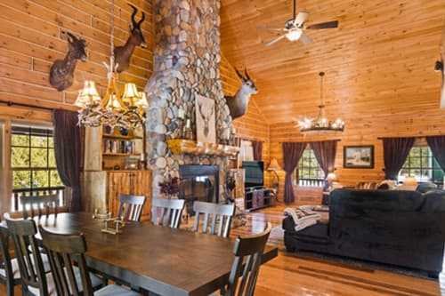 Woodsy cabins