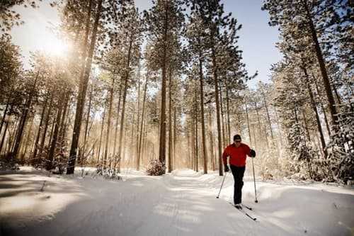 Cross-country skiing
